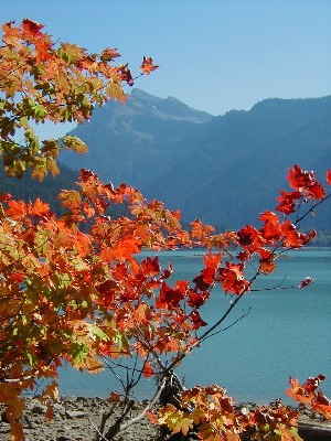 fall.jpg