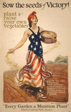 The Soybean, sowing the seeds