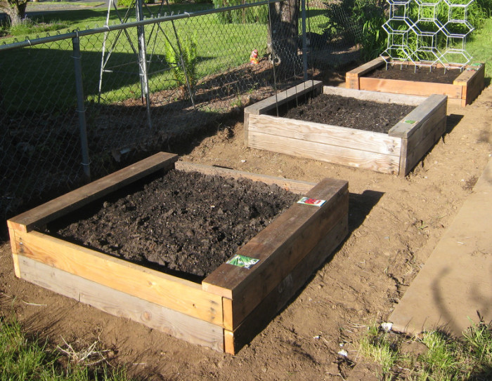How To Build a Container Garden