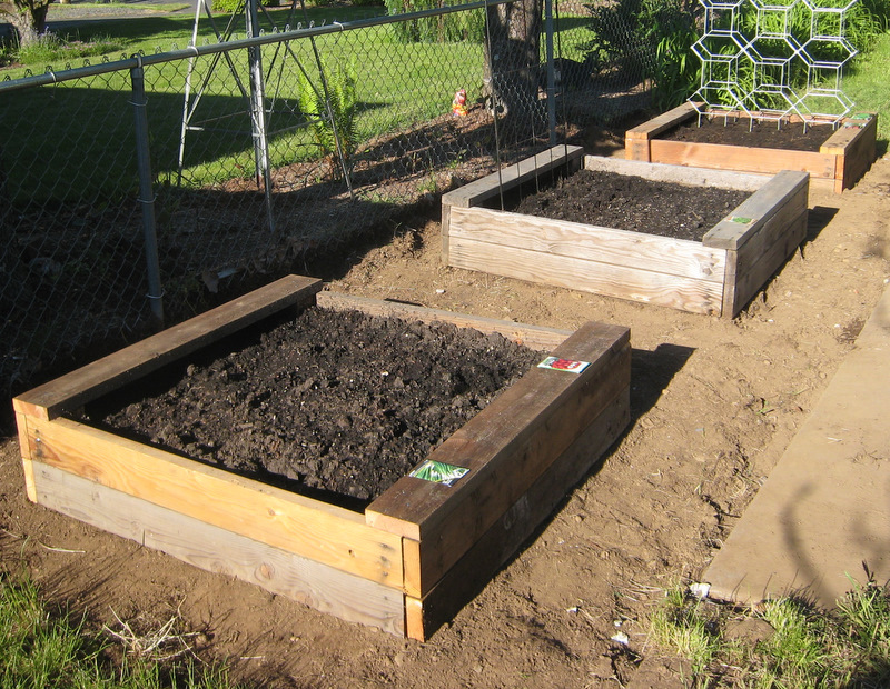 Building a Raised Bed Garden Box