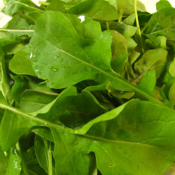 arugula-garden-grown