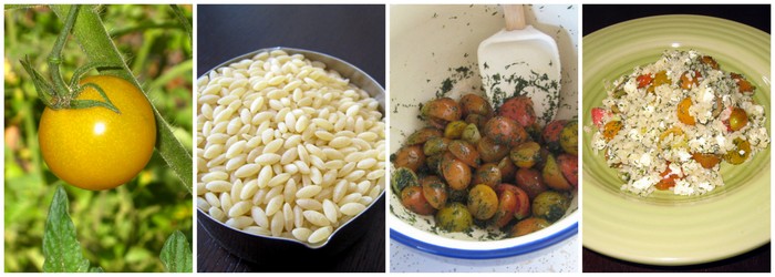 Orzo feta tomato