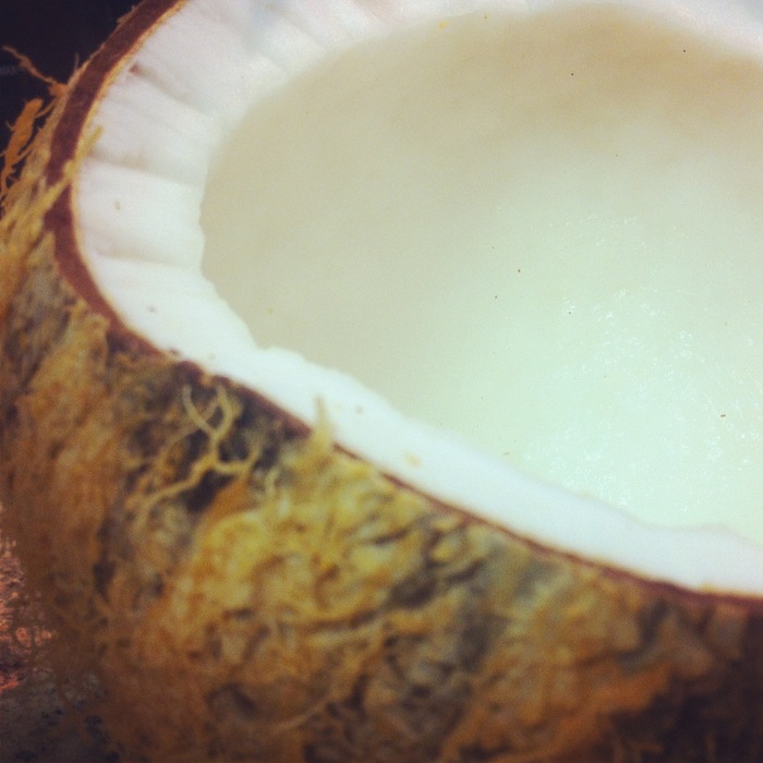 coconut