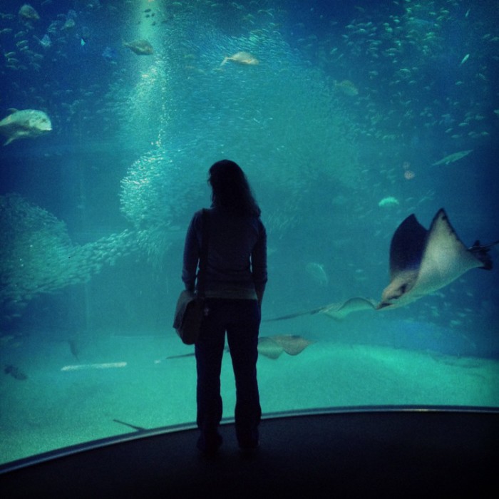 Osaka aquarium