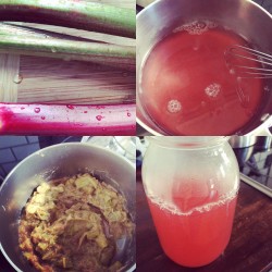 Rhubarb Simple Syrup + Fika!