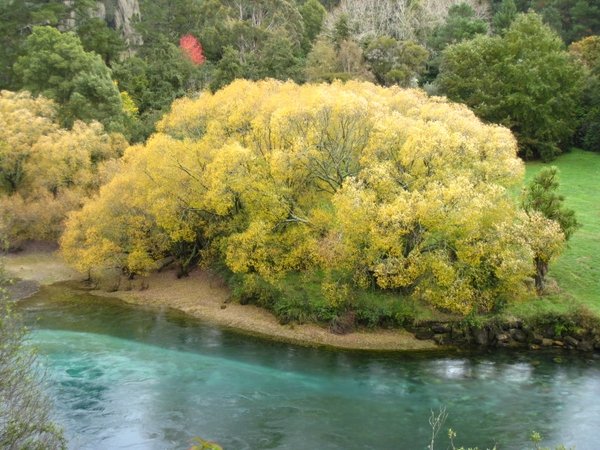 hiking in Taupo