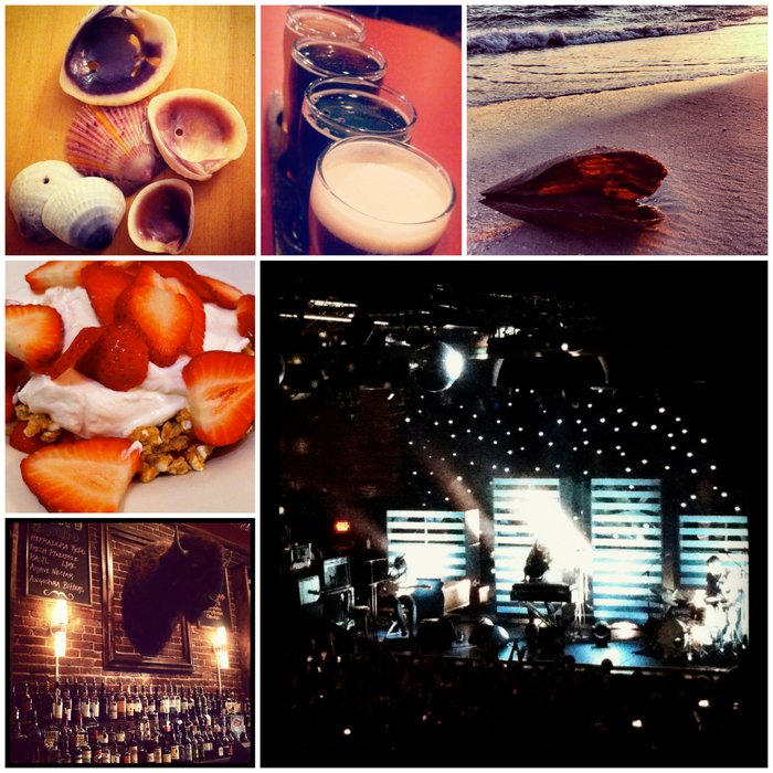 Beach House Orlando shells