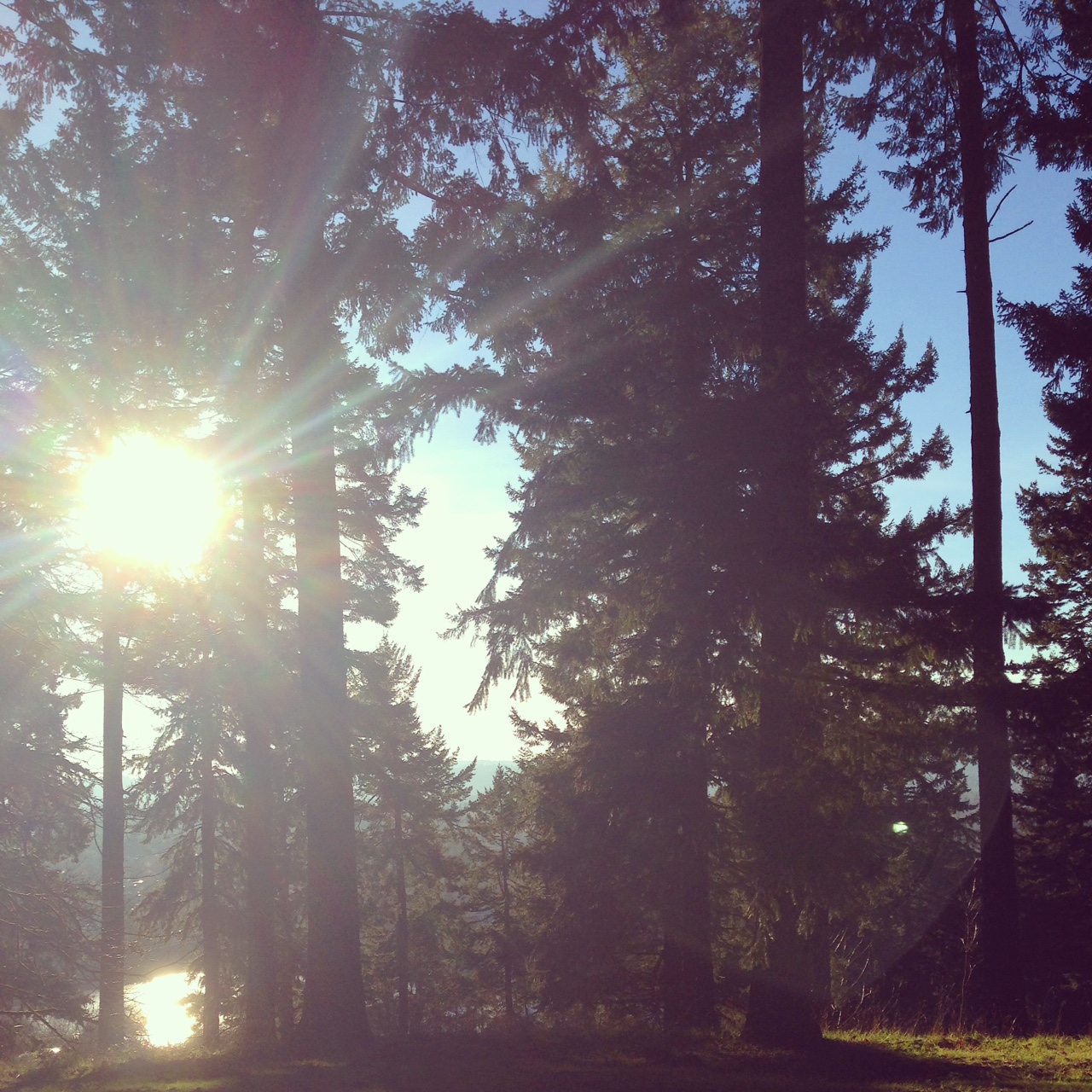 Happy New Year from Mt Tabor