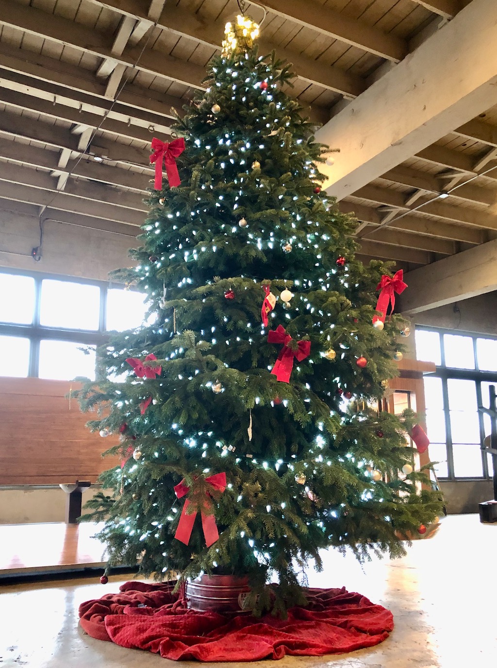 giantchristmastreeportland Powered by Tofu