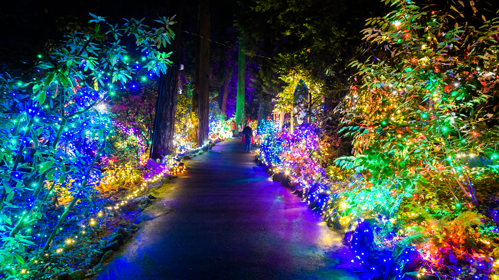 grotto christmas lights