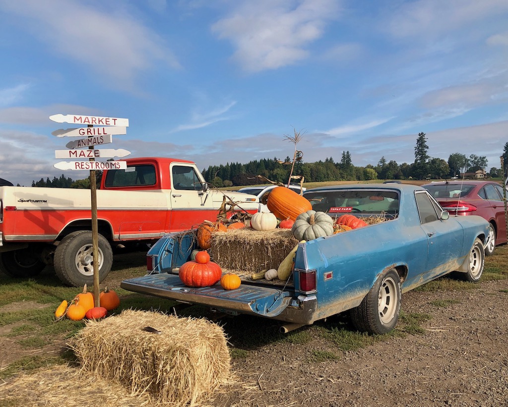 pumpkin car at Portland Pumpkin patches