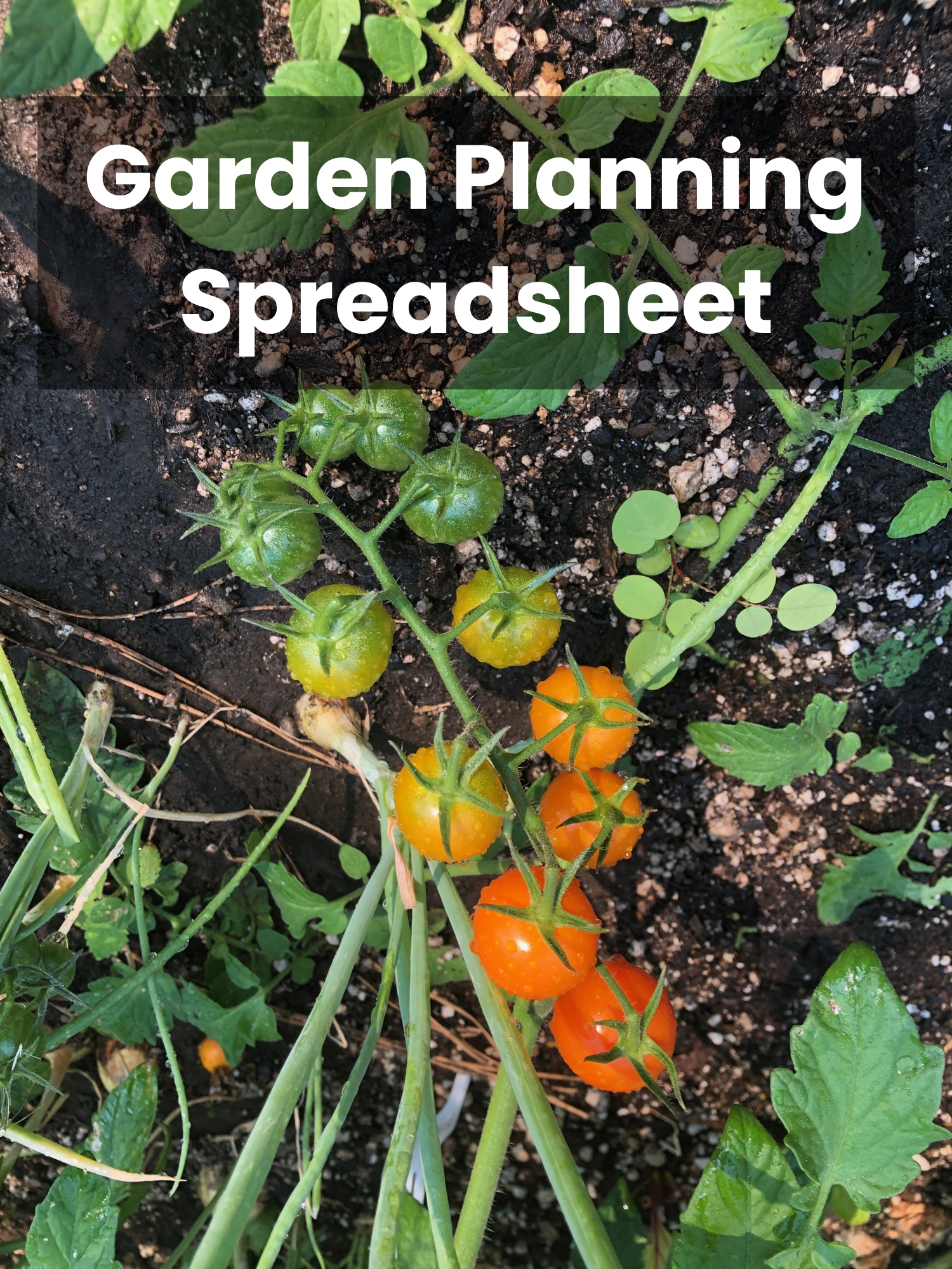 Garden tracking spreadsheet