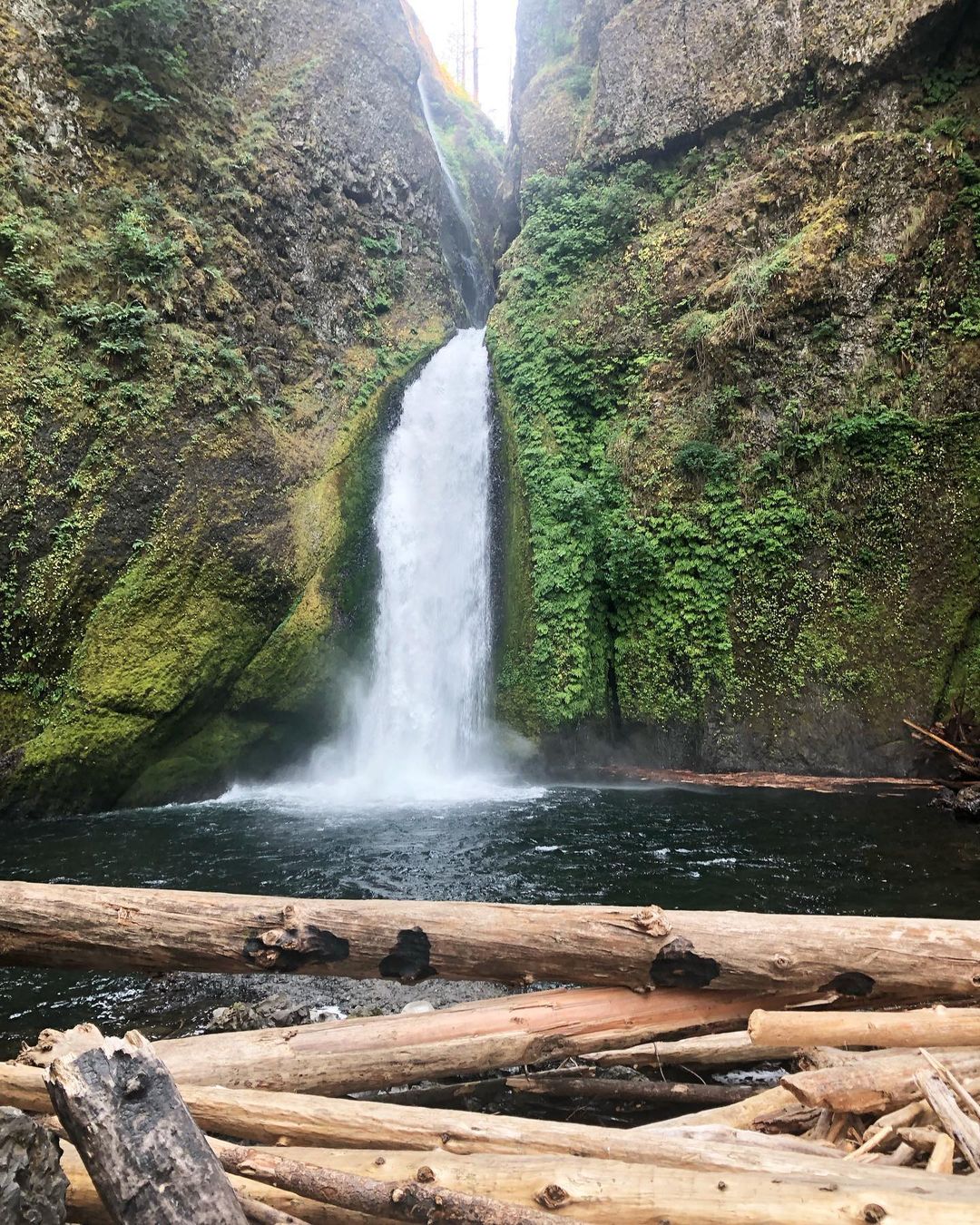 Wahclella falls - waterfall hikes near portland