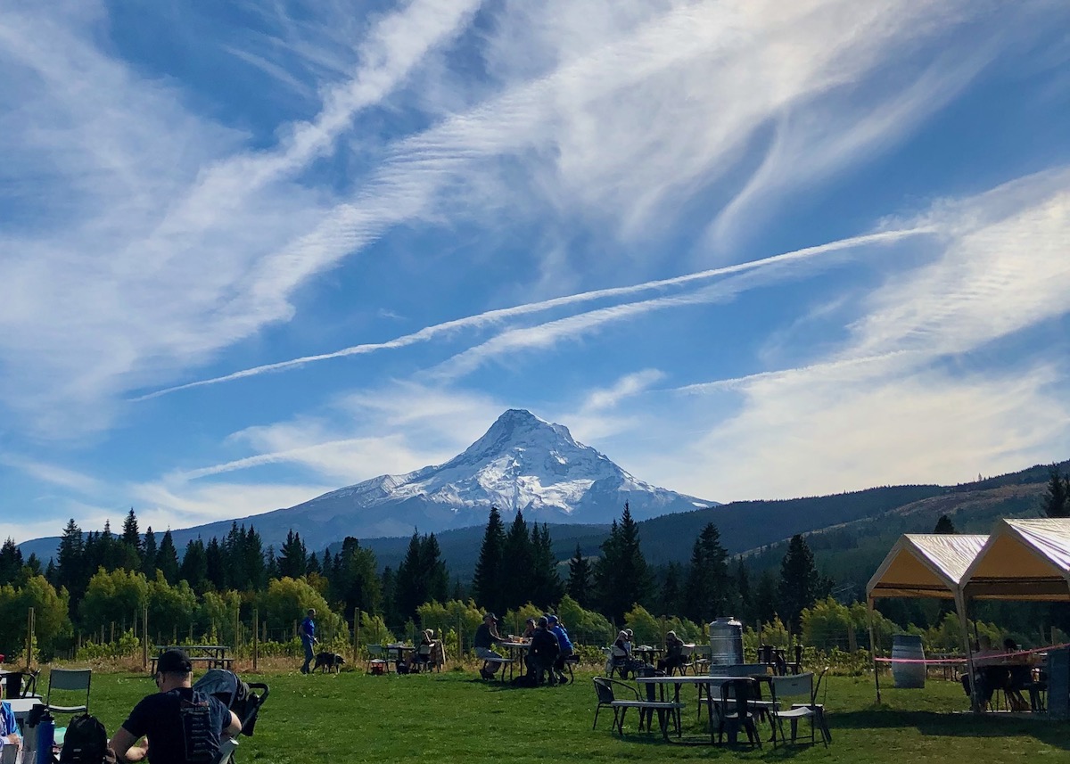 Mountain View Orchards & Brewery