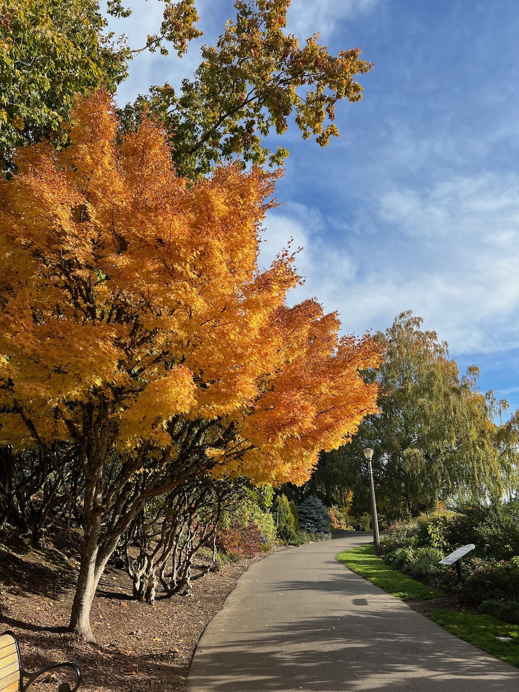 Pittock Mansion in fall