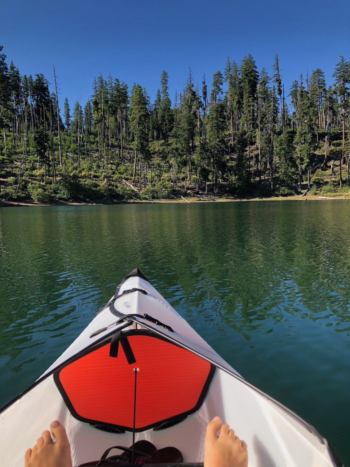 Scout Lake kayaking